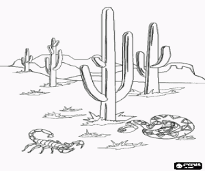 desenho de Deserto de Sonora com os famosos cáctus saguaro, um escorpião e uma cobra para colorir