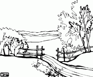desenho de Paisagem com árvores, um caminho e uma vedação de madeira para colorir