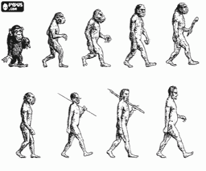 desenho de Sequência da evolução humana a partir do australopithecus Lucy para o homem moderno passando entre outros por homens de Heidelberg, Pequim, Neanderthal e Cromagnon para colorir