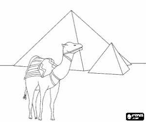 desenho de Um camelo na frente das pirâmides, monumentos funerários do Antigo Egipto para colorir